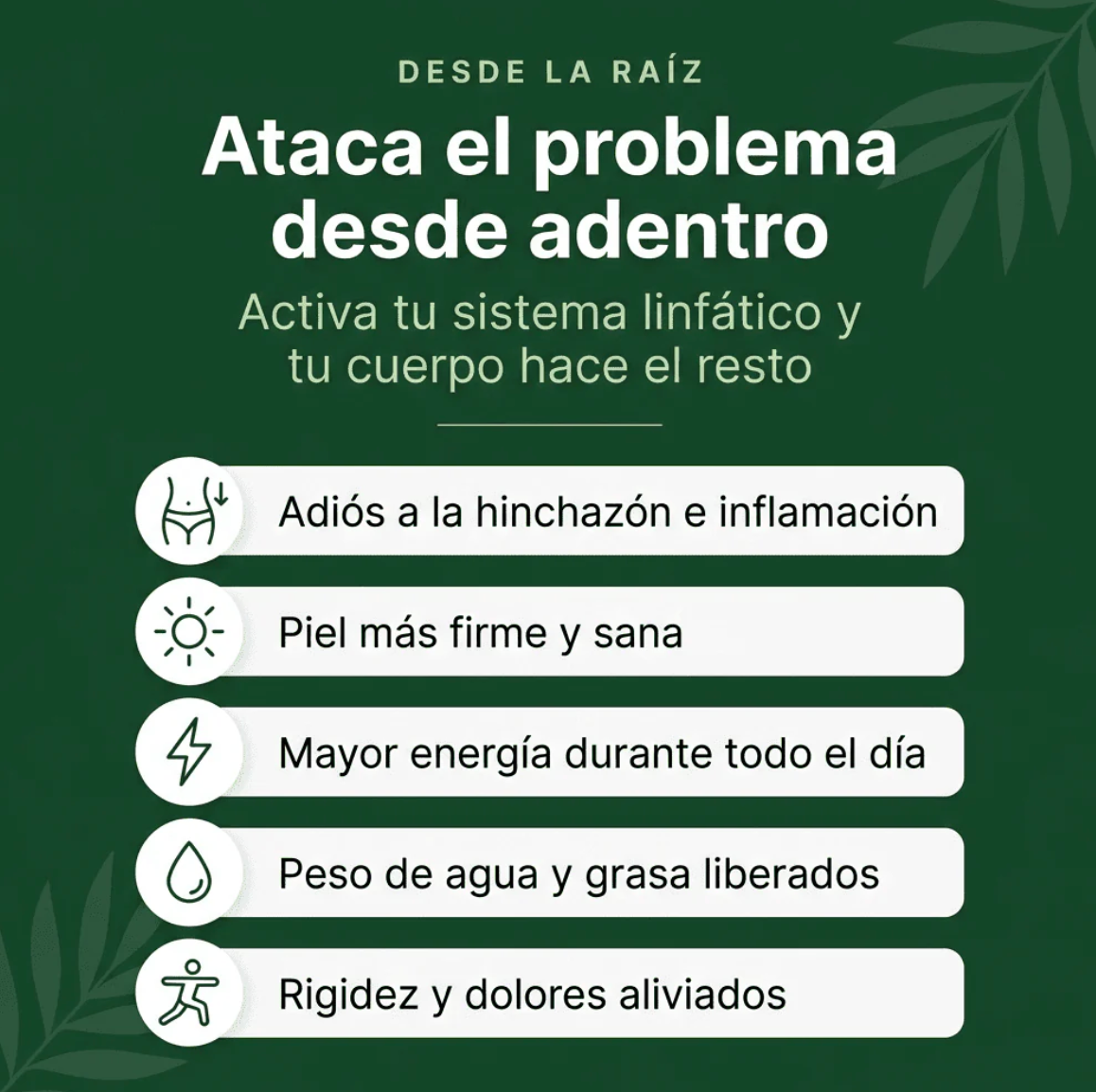 Liviana | Drena Naturalmente la Hinchazón del Rostro, Abdomen y Piernas