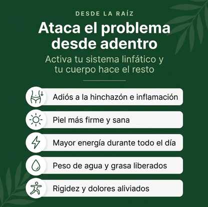 Liviana | Drena Naturalmente la Hinchazón del Rostro, Abdomen y Piernas